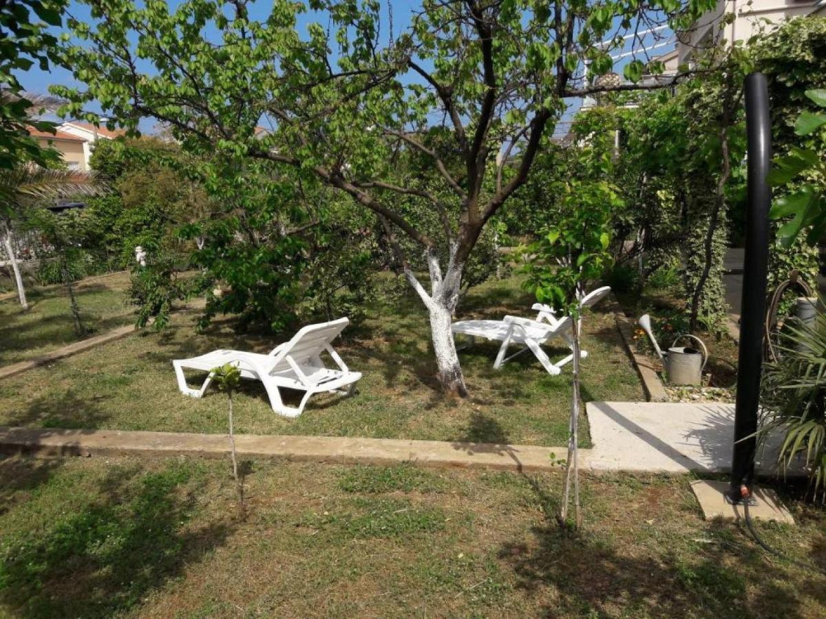 Apartments Amalia زادار المظهر الخارجي الصورة